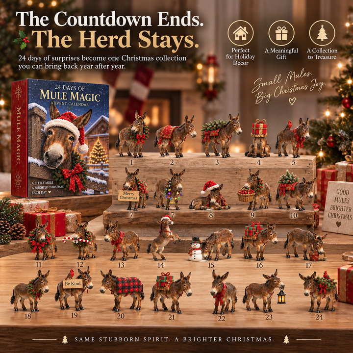 24 Days Mule Magic Animal Advent Calendar
