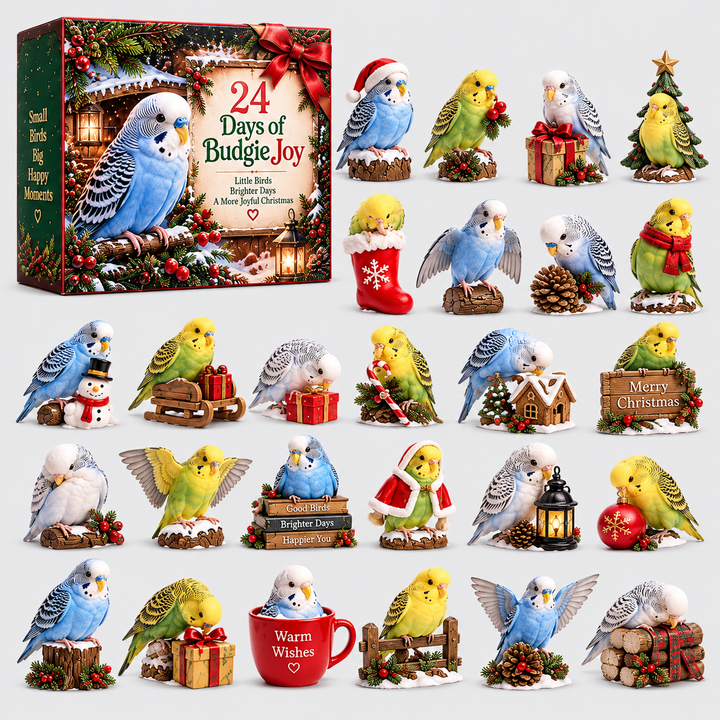 Budgie Advent Calendar 24 Collectible Bird Figurines
