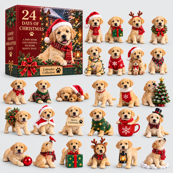 Labrador Advent Calendar - 24 Days Christmas Collectible Figurines