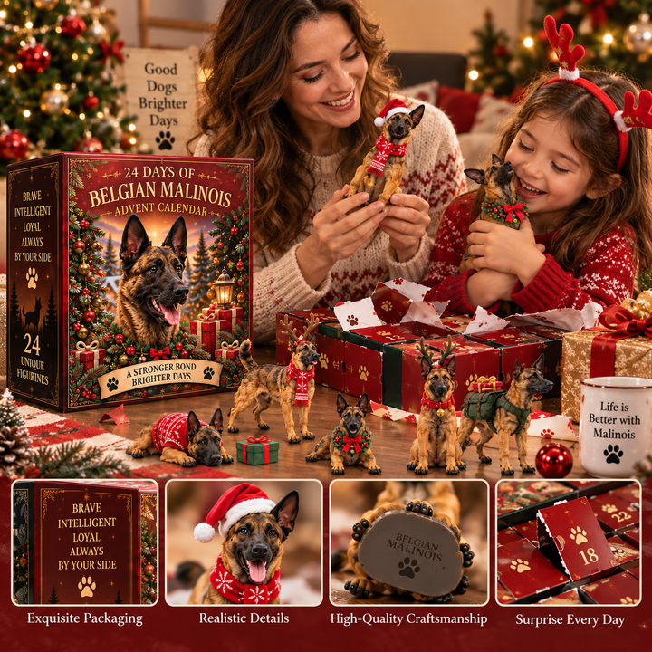Belgian Malinois Advent Calendar with 24 Festive Figurines