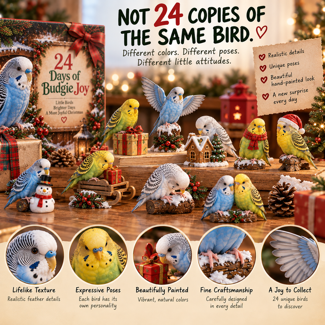 Budgie Advent Calendar 24 Collectible Bird Figurines