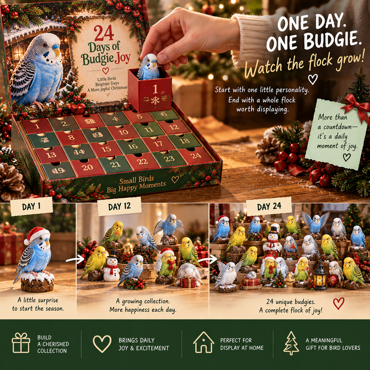 Budgie Advent Calendar 24 Collectible Bird Figurines