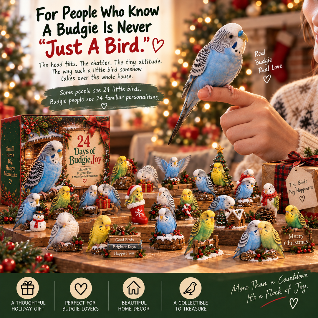 Budgie Advent Calendar 24 Collectible Bird Figurines