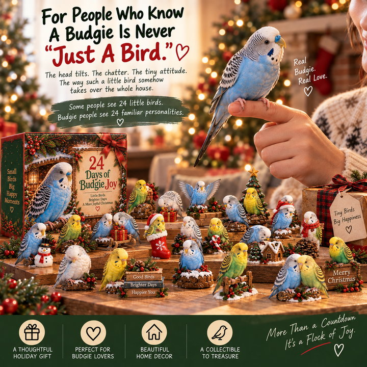Budgie Advent Calendar 24 Collectible Bird Figurines