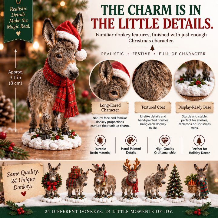 Festive 24-Day Donkey Advent Calendar