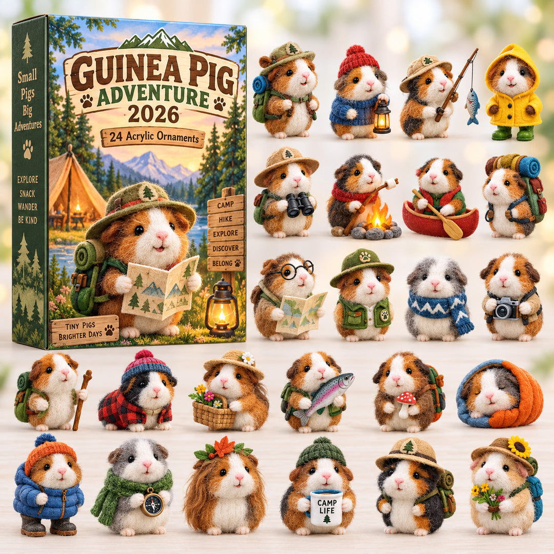 Guinea Pig Advent Calendar with 24 Ornaments
