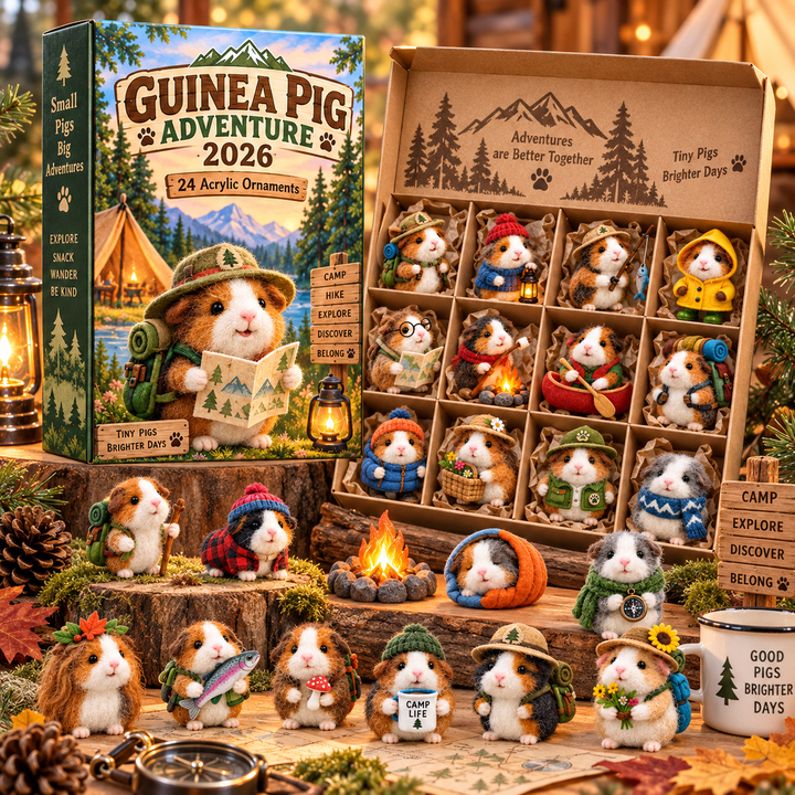 Guinea Pig Advent Calendar with 24 Ornaments