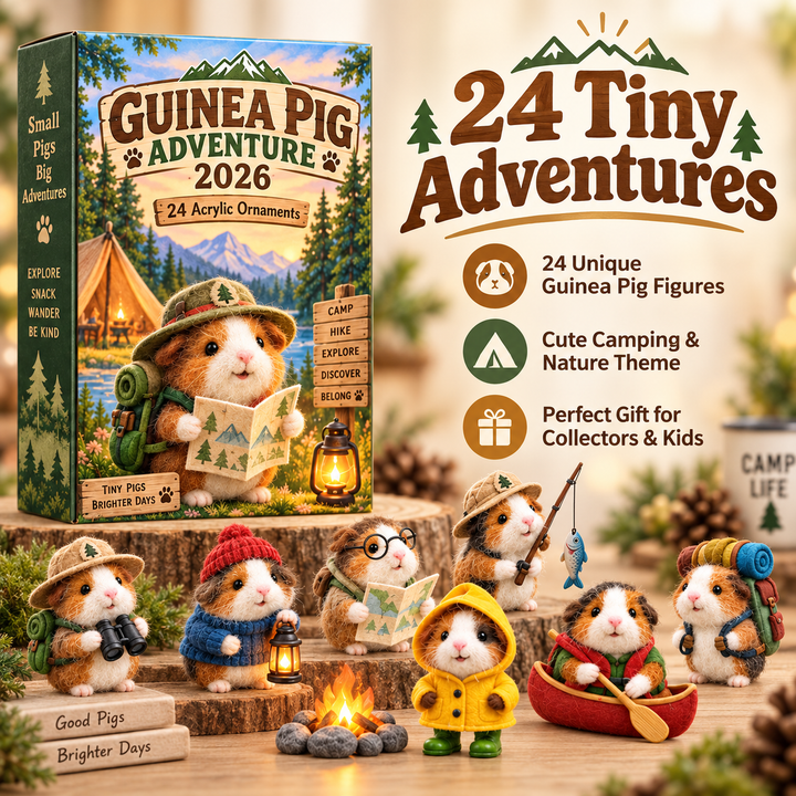 Guinea Pig Advent Calendar with 24 Ornaments