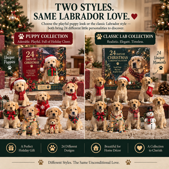 Labrador Advent Calendar - 24 Days Christmas Collectible Figurines