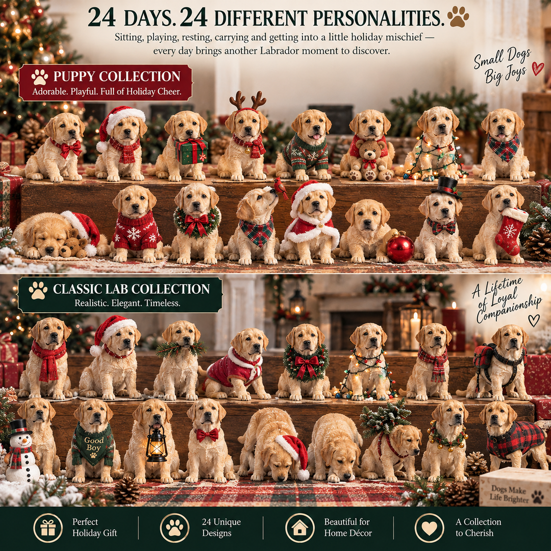 Labrador Advent Calendar - 24 Days Christmas Collectible Figurines