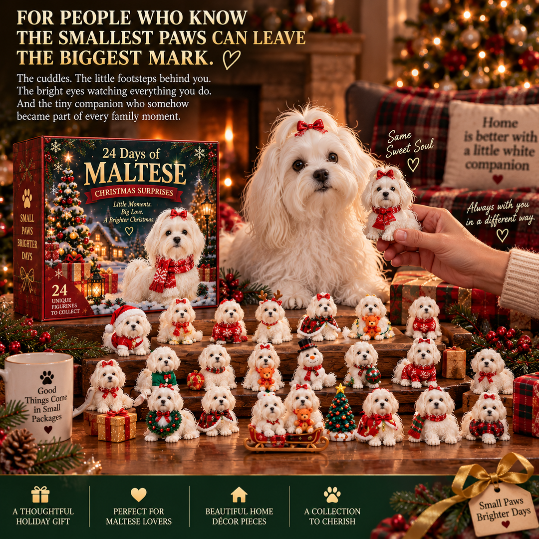 Maltese Advent Calendar - 24 Collectible Figurine Set