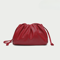 Women's Casual Slouchy Dumpling Bag