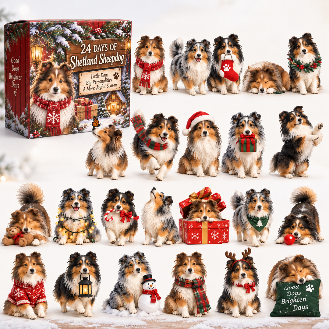Sheltie Advent Calendar with 24 Charming Dog Figurines