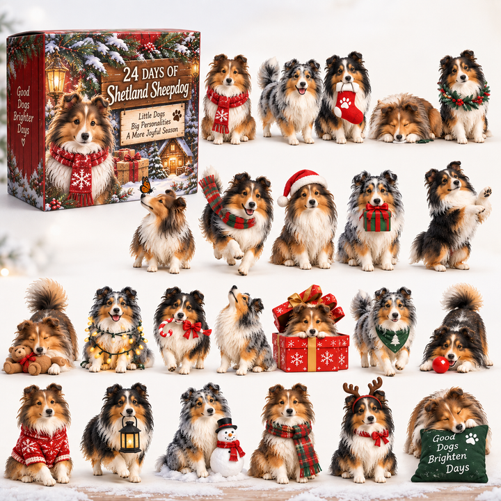 Sheltie Advent Calendar with 24 Charming Dog Figurines